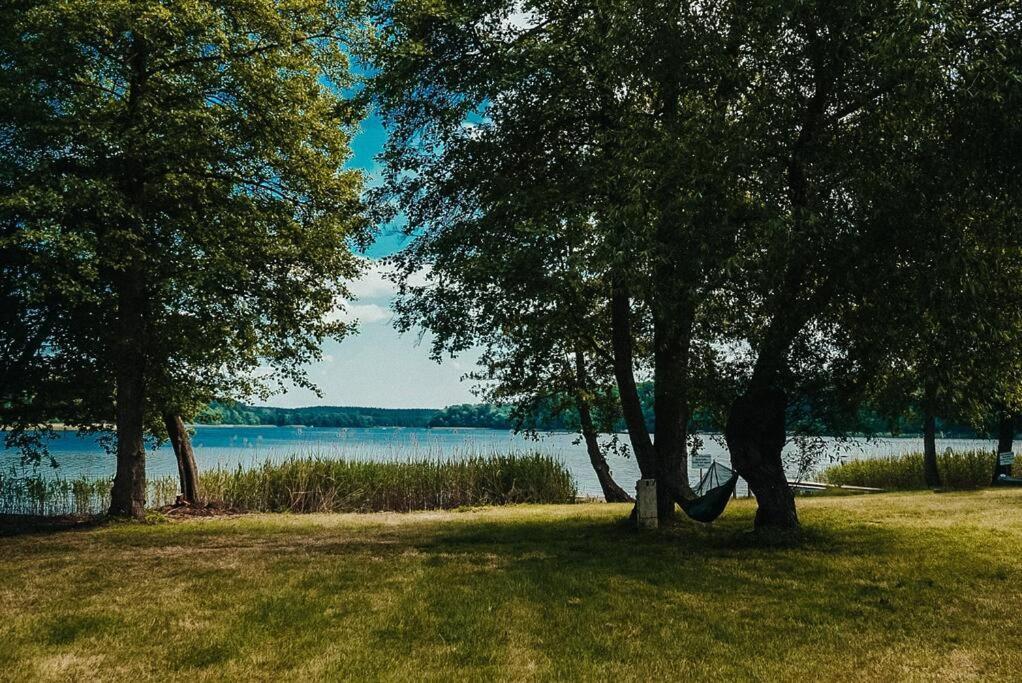 Holzhaus Direkt Am See Priepert エクステリア 写真